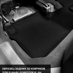 Левый пассажир