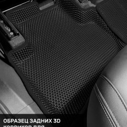 Левый пассажир