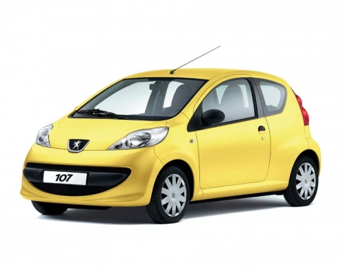 2D коврики EVA в салон и багажник на Peugeot 107 (2005-2014)