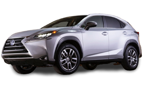 2D коврики EVA в салон и багажник на Lexus NX (2014-2021)