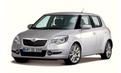 2D коврики EVA в салон и багажник  на Skoda Fabia II (2007-2014)