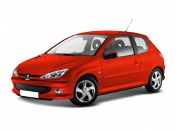2D коврики EVA в салон  на Peugeot 206 (1998-2012)