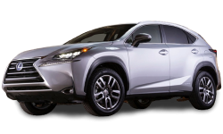 2D коврики EVA в салон и багажник  на Lexus NX (2014-2021)